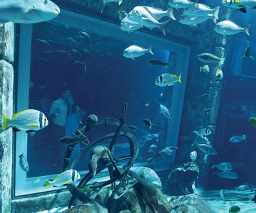 Dubai: The Lost Chambers Aquarium Atlantis Diving Experience