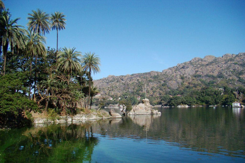 Udaipur: visite privée des temples du mont Abu et de DilwaraVisite sans déjeuner