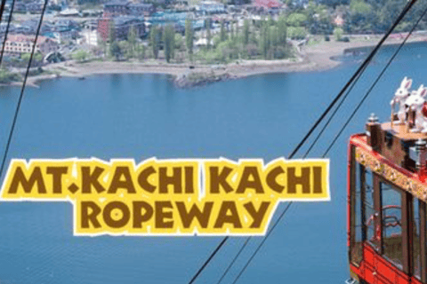 From Tokyo: Mount Fuji Full Day Customizable Private Tour