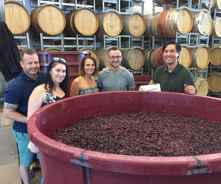 From Canberra: Winery, Distillery, & Tasting Tour with Lunch