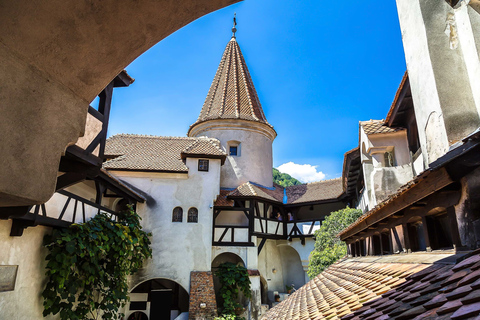 Bucarest: Escursione di un giorno al Castello di Dracula, al Castello di Peles e a Brașov