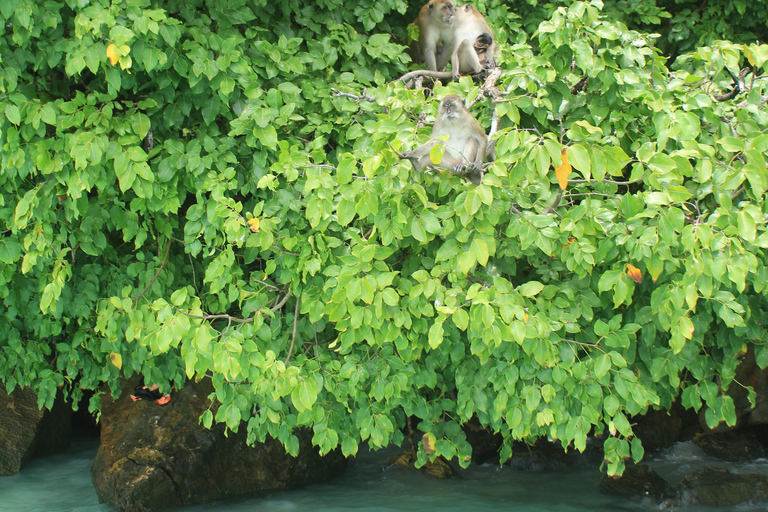 Phuket: Phi Phi Islands Early Bird Speedboat Tour & Buffet