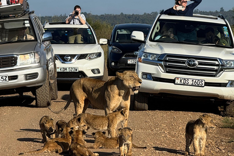 5 Hours Nairobi National Park Game Drive Tour in 4x4 Vehicle Private Guided Tour 4x4 Van