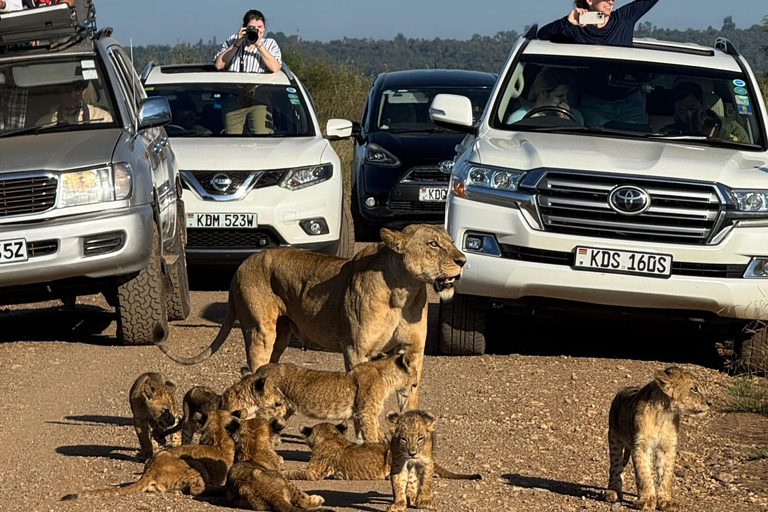 5 Hours Nairobi National Park Game Drive Tour in 4x4 Vehicle Private Guided Tour 4x4 Van