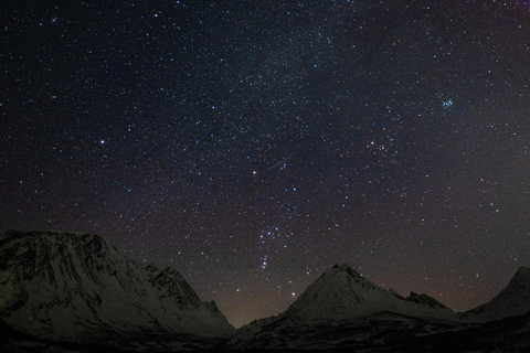 Tromsø: Tour dell&#039;aurora boreale con foto e trasferimento in hotel