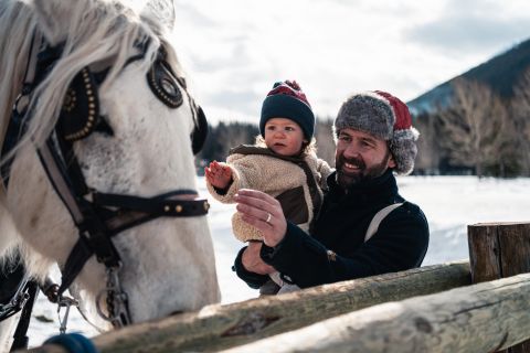 Banff: giro privato in slitta trainata da cavalli per quattro