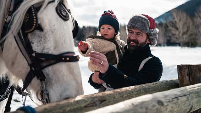 banff private horsedrawn sleigh ride for four