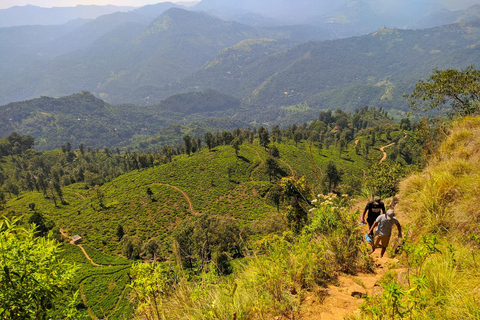 Depuis Colombo : 3 jours d&#039;escapade dans la région des collines avec un voyage en trainDepuis Colombo : 3 jours d&#039;escapade dans les collines avec un voyage en train