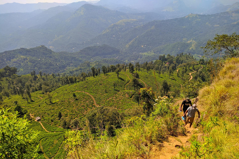 Tour d&#039;avventura di 4 giorni: Colombo a Sinharaja, Ella e oltre