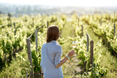 Ciudad del Cabo: tour por los viñedos de los amantes del vino con traslado privado