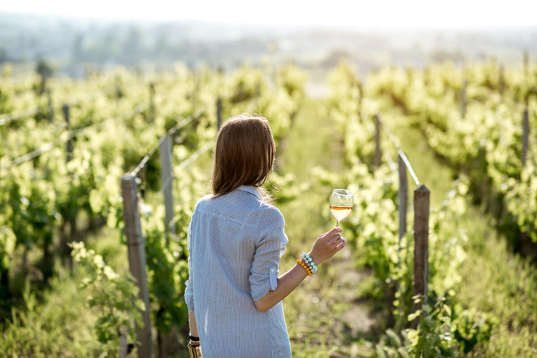 Le Cap : visite des vignobles pour les amateurs de vin avec transfert privé