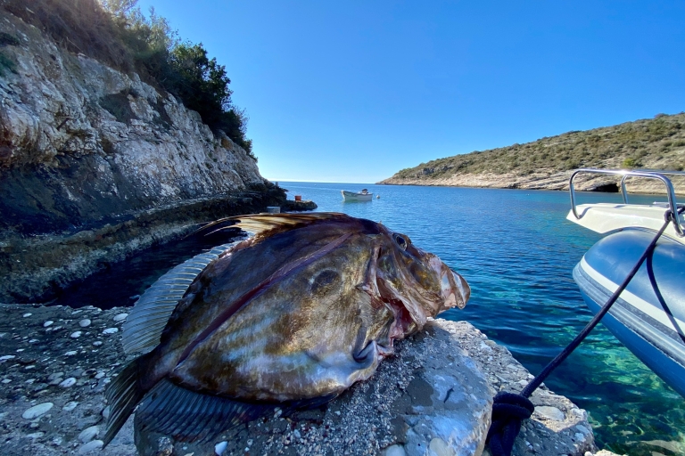 Split: Halbtägige Angeltour nach Drvenik und Insel Solta
