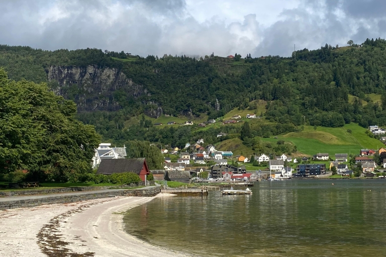 Bergen: Persiguiendo las Cascadas del Fiordo de Hardangerfjord Excursión por la costa