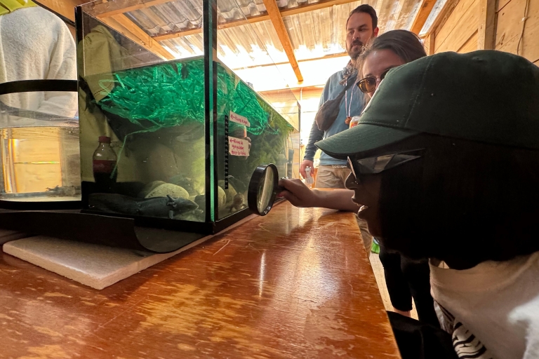 Xochimilco : excursion en bateau avec sanctuaire d'Axolotl