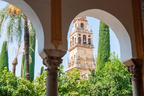 Córdoba: 3 horas a pie Tour privado