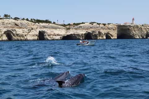 Portimão: Benagil Caves and Marinha 2-Hour Boat Tour