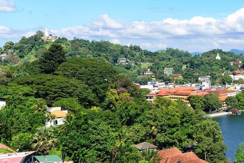 Sri Lanka - Circuit de 4 jours à Kandy et Nuwara Eliya, dans la région du thé et des collines