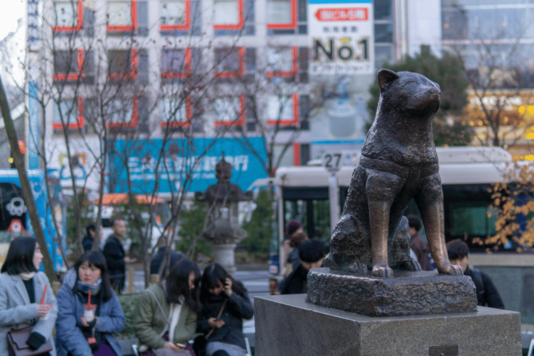 Tokyo: Shibuya Sky Night View, Crossing & Local Vibe Tour Additional slots