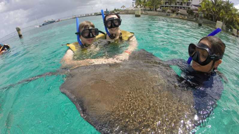 Cozumel: Snorkel and Swim with Stingrays | GetYourGuide