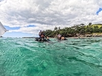 Van Leigh, Goat Island Probeer duikervaring - Housity