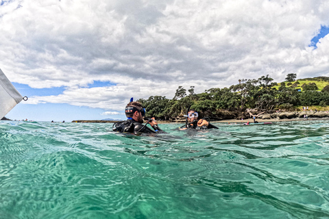 De Leigh: experiencia introductoria de buceo en Goat Island