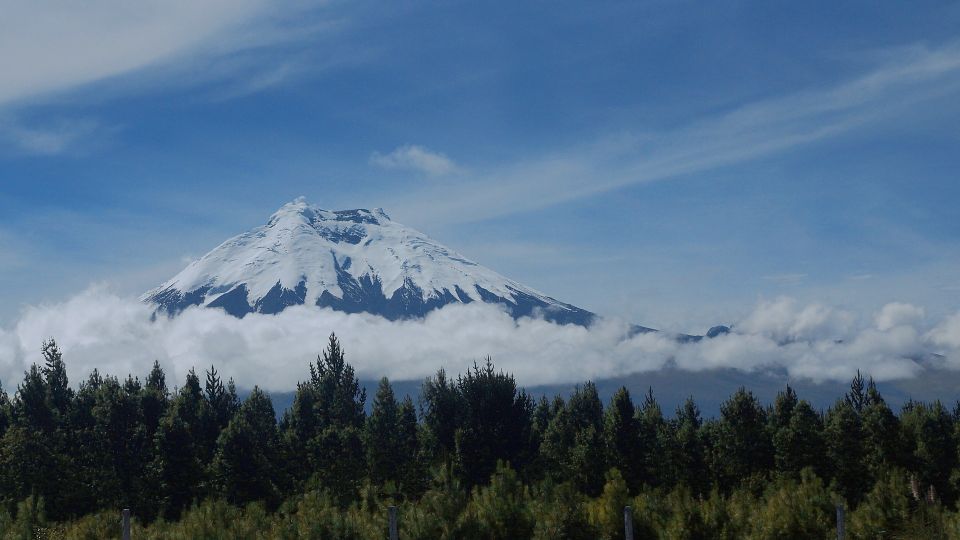 From Quito: Cotopaxi National Park Full-Day Tour with Hike | GetYourGuide