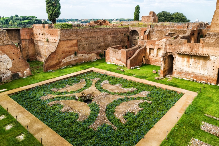 Roma: Fast-Track Private Colosseum Arena y Palatine HillTour en español