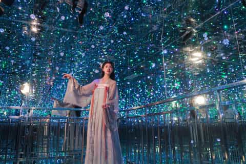 The Bund: The Starry Gallery of Shanghai Museum Ticket
