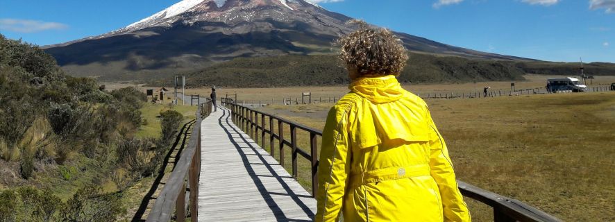 Cotopaxi National Park Full-Day Tour from Quito