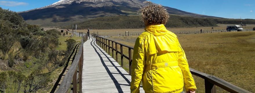 De Quito: Excursão de 1 dia ao Parque Nacional Cotopaxi com caminhada