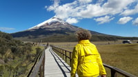 De Quito, le parc national de Cotopaxi Visite d'une journée complète avec randonnée - Hizvo