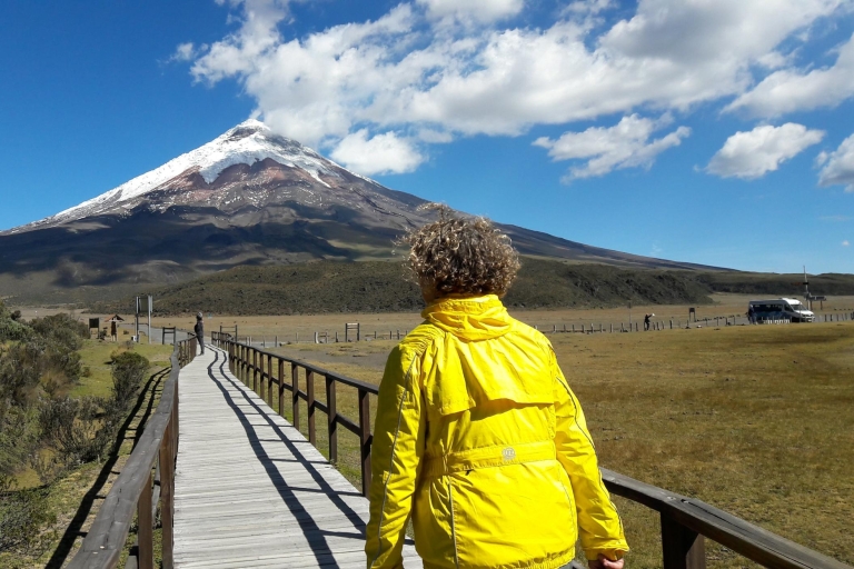 Z Quito: całodniowa wycieczka do Parku Narodowego Cotopaxi z wędrówką