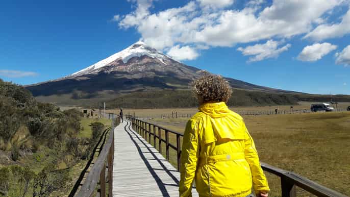 cotopaxi national park fullday tour from quito