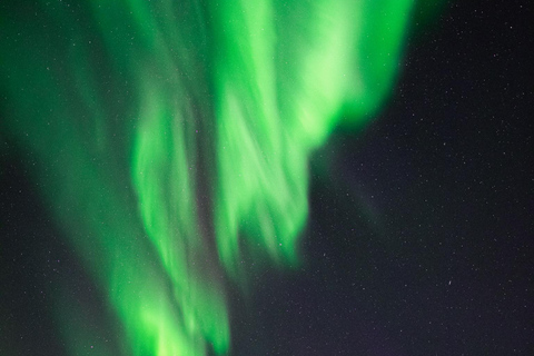 Levi: Nordlichter Pro garantiert – unbegrenzte EntfernungLevi: Nordlichter garantiert – unbegrenzte Entfernung