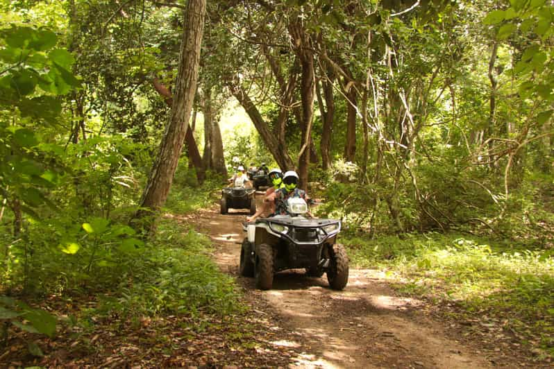 Double Or Single Rider Atv Jungle Tour Getyourguide