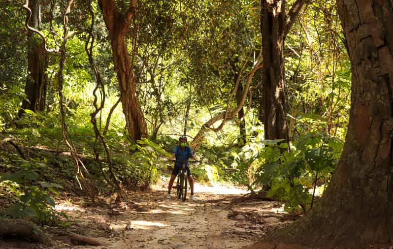 De Puerto Vallarta Jungle Mountain Bike Tour GetYourGuide