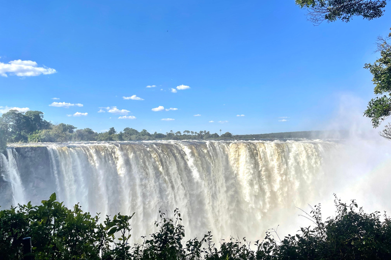 Victoria Falls: Guided Walking Tour with Local Female Guide