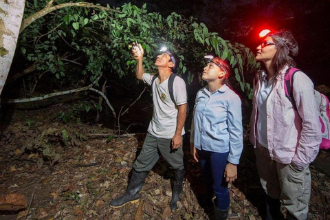 From Puerto Maldonado: 4-Day Amazon Rainforest Tour