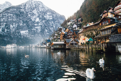 From Vienna to Hallstatt: Europe’s Most Beautiful Village Hallstatt Tour From Meeting Point