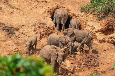 Arusha : Circuit de 2 jours à la découverte de la culture Maasai et de la forêt des Hautes Terres