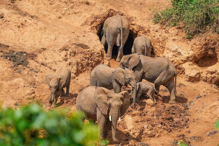 Arusha : Circuit de 2 jours à la découverte de la culture Maasai et de la forêt des Hautes Terres