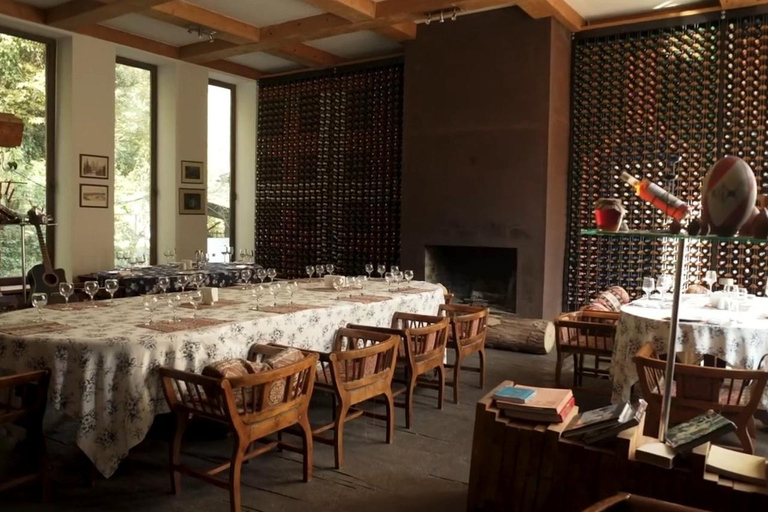 Adjara: Vineyard Tour with Wine Tasting and Lunch