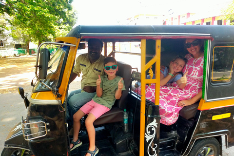 Kochi: Tuk-Tuk Tour with Cruise Ship Terminal Pickup