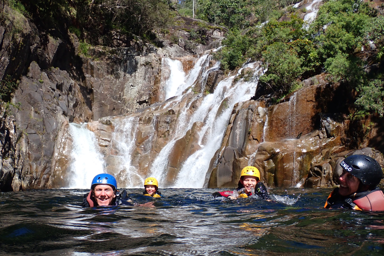 Cairns: Experiência de meio dia em cachoeiras e florestas tropicais