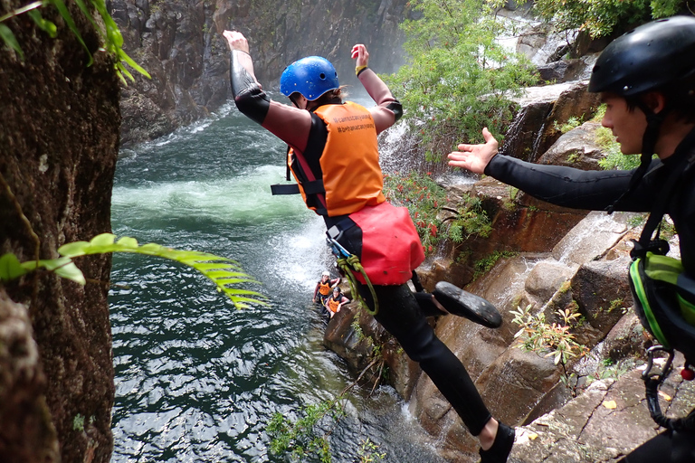 Cairns: Experiência de meio dia em cachoeiras e florestas tropicais