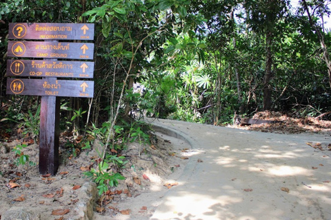 Phuket/Khao Lak: Ko Surin – 3-Riff-Schnorcheln-MeisterwerkAbholung vom Hotel in Phuket