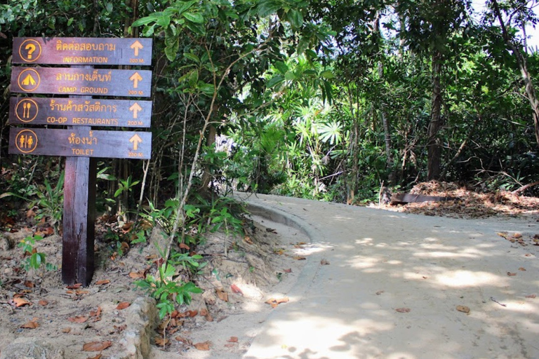 Phuket/Khao Lak: Ko Surin – 3-Riff-Schnorcheln-MeisterwerkAbholung vom Hotel in Phuket