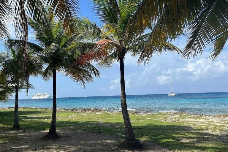 Private Cozumel Tour Your Way - Groups up to 4 People