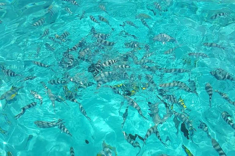 Vanuit Zanzibar Mnemba Eiland-Snorkelen Dagtour met Lunch