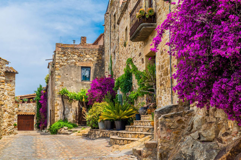 Girona, Pals & Costa Brava Private Tour with Wine Tasting